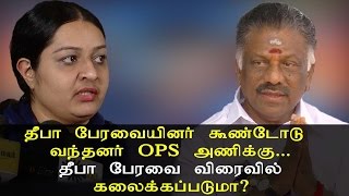 விரைவில் கலைக்கப்படுமா Deepa பேரவை.. ? தீபா பேரவையினர் கூண்டோடு வந்தனர் OPS அணிக்கு