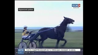 30 лошадей из разных регионов страны участвовали в скачках на ипподроме Чувашского конного завода