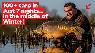 CARPologyTV | How Tom Maker caught over 100 carp to 40lb+ in 7 days this winter at Linear Fisheries