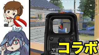 【コラボ】しのぶ＆きょうぺいちゃんの荒野行動！【スマホ版PUBG】#2　Knives　Out