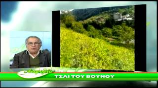 ΤΣΑΙ ΤΟΥ ΒΟΥΝΟΥ- IRONWORT or MOUNTAIN TEA-SIDERITIS