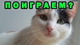 Командный Вормакс✅Плохишей тут не любят►Wormax.io
