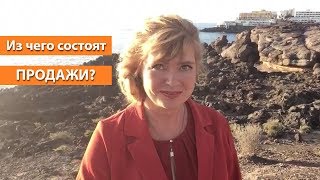Из чего состоят продажи?  Елена Казанцева-Брагина