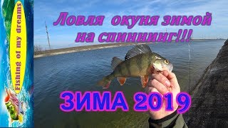 Ловля окуня зимой на спиннинг!!!20.02.2019!!!Отчёт!!!