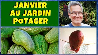 Que planter au jardin potager en Janvier ?