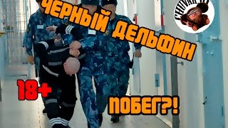 ДЕРЗКИЙ ПОБЕГ ИЗ ТЮРЬМЫ "ЧЁРНЫЙ ДЕЛЬФИН" 13.01.2017г.