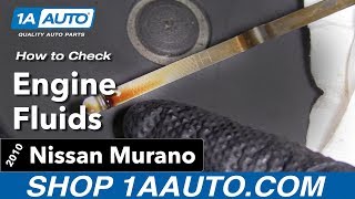 How to Check the Fluids 09-14 Nissan Murano