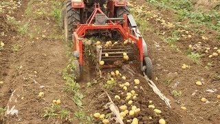 Картофелекопалка