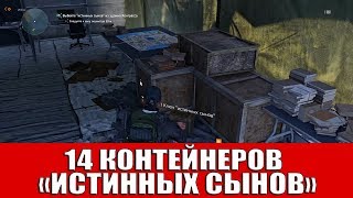 THE DIVISION 2 - 14 КОНТЕЙНЕРОВ "ИСТИННЫХ СЫНОВ"