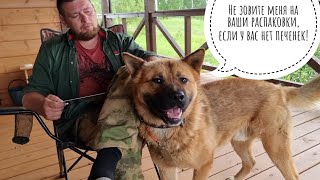 Распаковка посылочек из Москвы. Пёс Кубик бодрит атмосферу