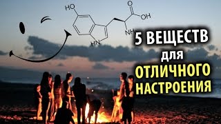 5 Добавок для Отличного Настроения