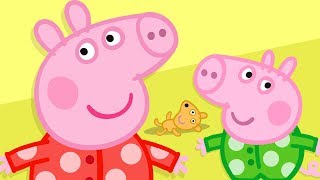 Peppa Pig Português Brasil | Compilation 42 | HD | Desenhos Animados