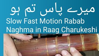Mere pas tum ho Slow motion rabab naghma in raag charukheshi asar.