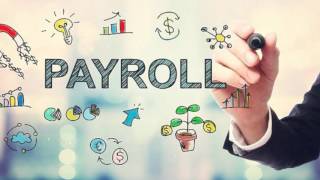 Seattle CPA Firm - Small Business Accounting, Payroll, CFO