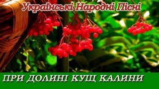 "При долині кущ калини"   Українська народна пісня