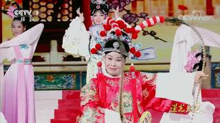 [星光大道]《嬉戏》 表演：王香云 | CCTV
