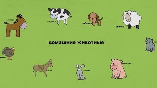 Развивающий мультик. Домашние животные для детей. Как нарисовать поросенка, кота, собаку и др..