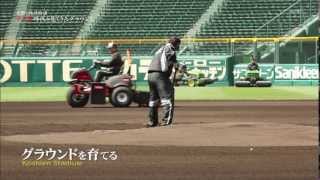 奇跡の地球物語　甲子園　Koshien Stadium 1
