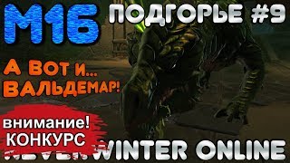 М16. ПОДГОРЬЕ #9 - А ВОТ И... ВАЛЬДЕМАР! ОБЗОР КАМПАНИИ. Neverwinter Online