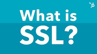 What Is SSL? And Why Do You Need It?