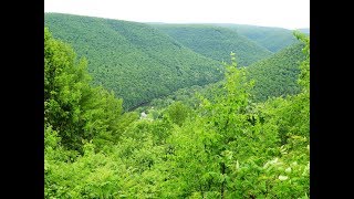 2019 Gillespie Point hike Blackwell PA