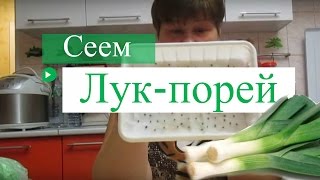 Сеем лук-порей в "улитку" и на нетканую салфетку.