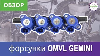 Форсунки ГБО - OMVL GEMINI. Краткий обзор.