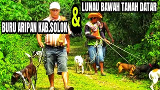 Berburu aksi team porbi buru babi Aripan Solok dan Lunau Bawah Tanah Datar
