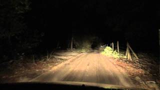 Dirt Scary Road to Haunted Woods in Florida Somewhere