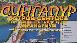 Сингапур остров Сентоса Sentosa что посмотреть за один день Океанариум S E A  Aquarium  4K