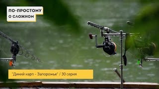 "Дикий карп - Запорожье" \ "По простому о сложном" - 30 серия 1 часть.