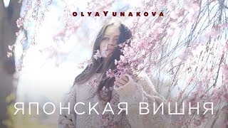 ЦВЕТЕНИЕ САКУРЫ В ВАШИНГТОНЕ :: ФЕСТИВАЛЬ ЦВЕТЕНИЯ ЯПОНСКОЙ ВИШНИ