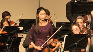 Accolay Violin Concerto No. 1 in A Minor - Allegro Moderato