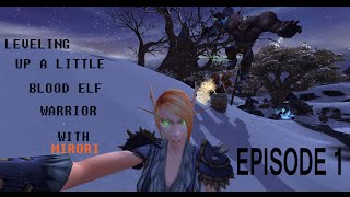 World of Warcraft: BLOOD ELF WARRIOR LEVELING 1 The start of a journey