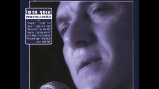 שלומי שבת - צל עץ תמר