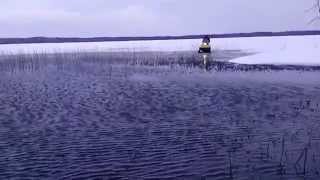 снегоход Тайга 500 по воде