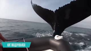 Бывает Же Такое! 15 Шокирующих Моментов Снятых На Камеру