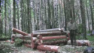 Строительство лесной избушки по быстрому