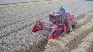 Two massey 735 combine harvesters