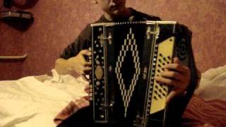 Цыганочка гармонь