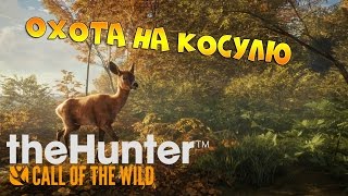 theHunter Call of the Wild #1 - Сезон охоты | Охота на косулю