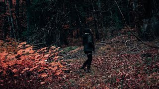 Galaxy Forest | FUJIFILM X-T3 Travel Video