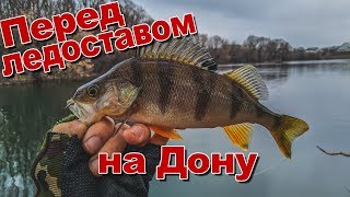 Ловля щуки и окуня перед ледоставом | Разведка новых мест