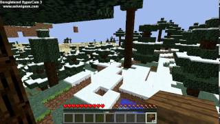играем на серве и одиночной игре minecraft