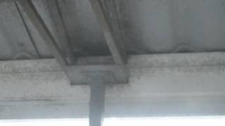 Шокирующее видео! Нападение взбесившихся мух на квартиру. Слабонервных не смотреть!