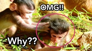 OMG! Baby Dax Cry Hard​ Why Janna Do Hurt​ To Baby Monkey Dax, Pity Baby Dax Cry So Sad