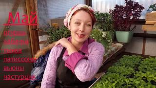 КОГДА  СЕЕМ ?? СПИСОК ПО  МЕСЯЦАМ.