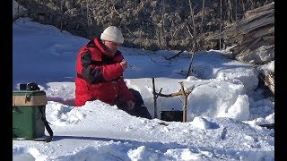 КРУПНЫЙ ОКУНЬ И УХА НА КОСТРЕ!! РЫБАЛКА МЕЧТЫ!! Рыбалка на Оби.Ловля на безмотылку.