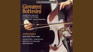 Double Bass Concerto No. 2 in B Minor: I. Allegro moderato