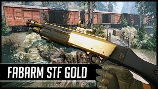 Warface Fabarm STF 12 Compact